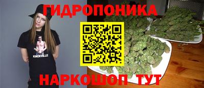 спиды Донской