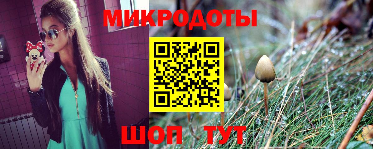 Галлюциногенные грибы мицелий Михайловка